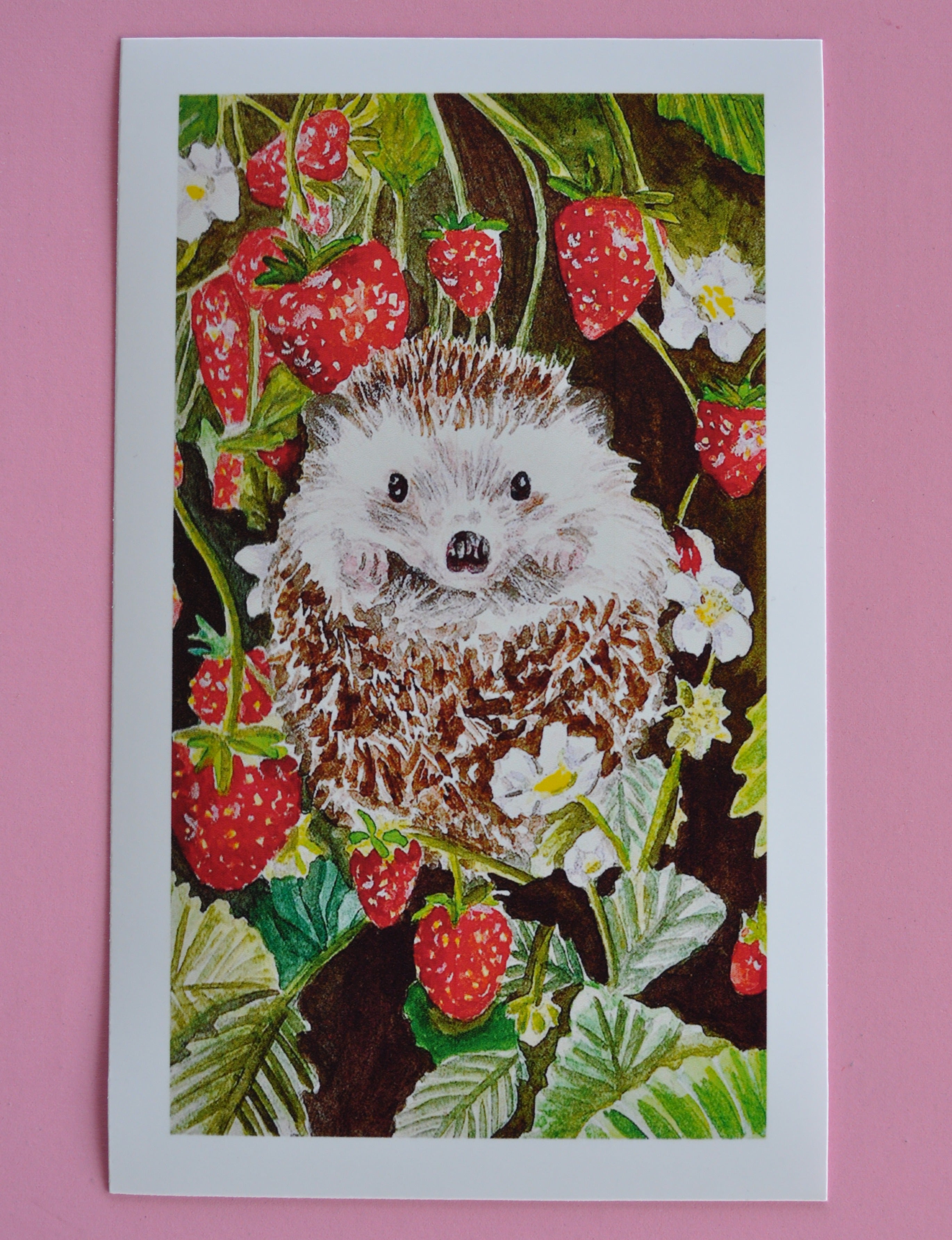 "Strawberries and spikes" art print