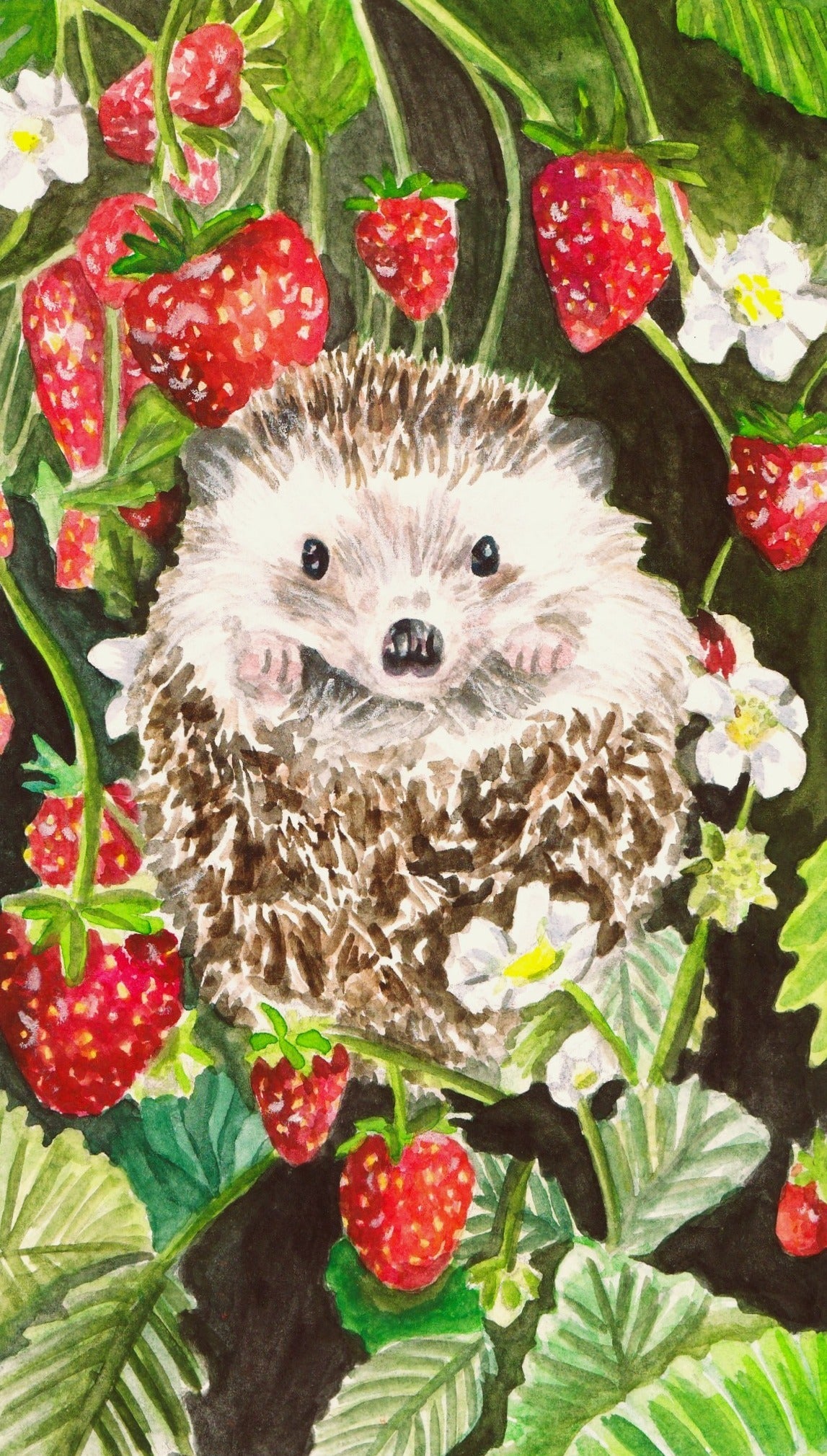 Art Prints