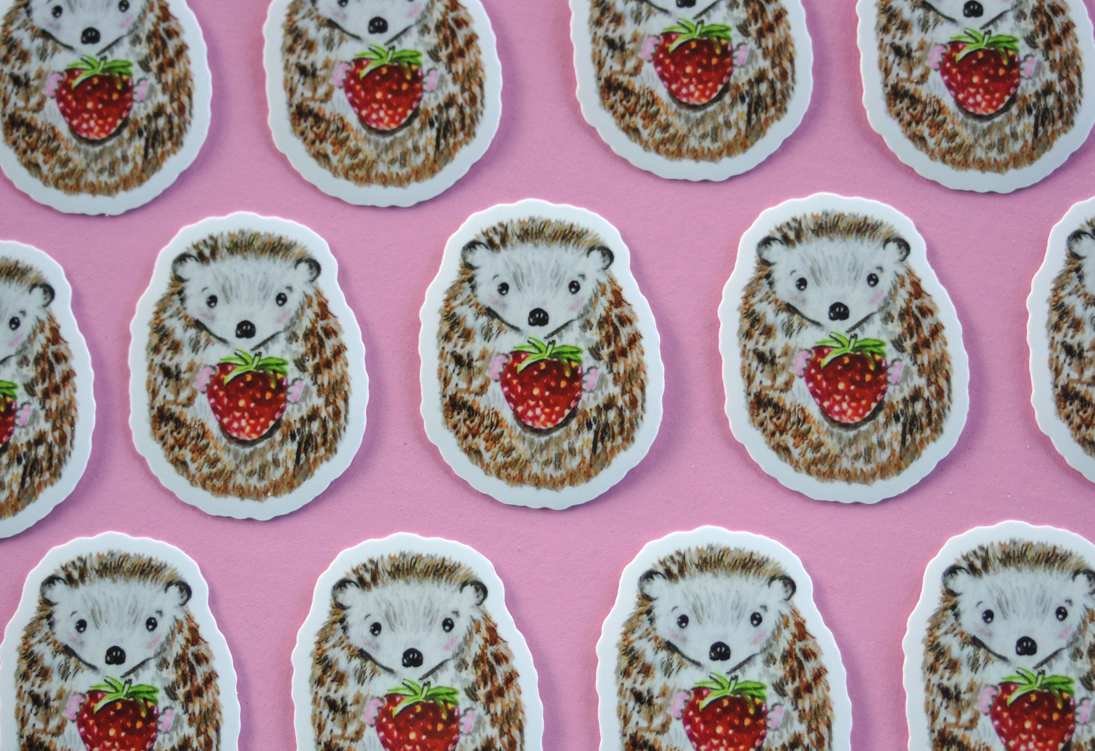 Hedgehog sticker