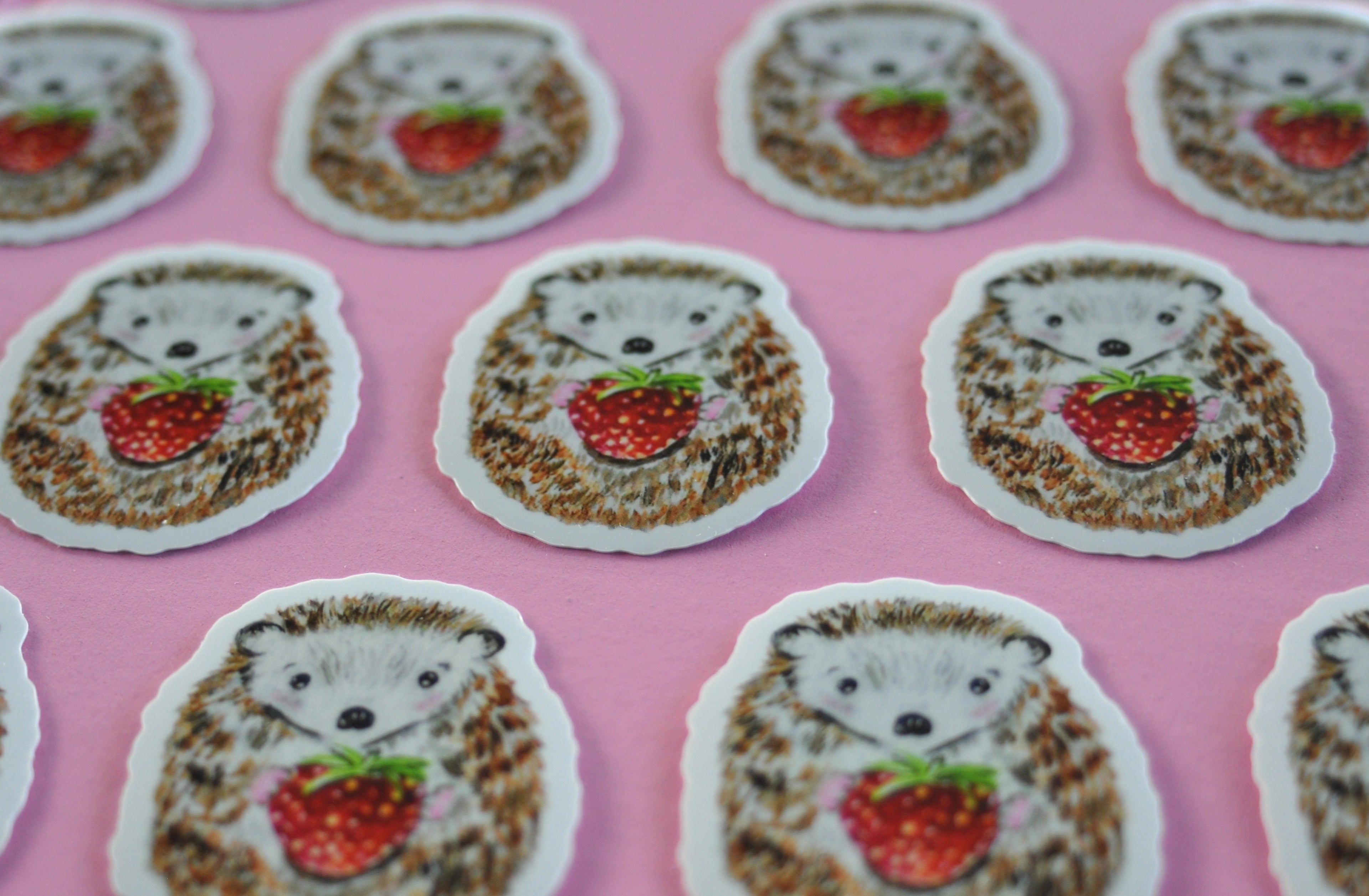 Hedgehog sticker