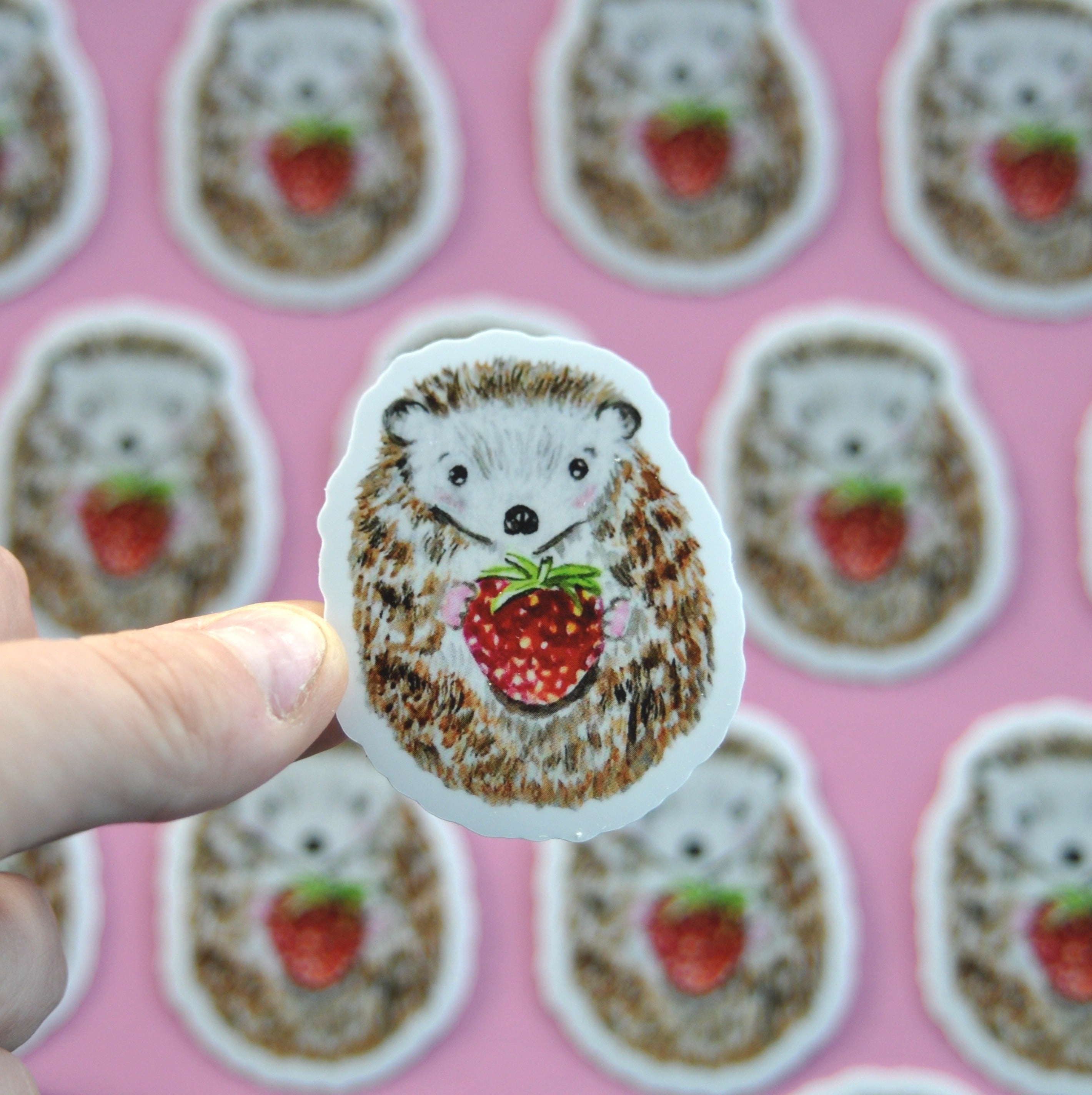 Hedgehog sticker