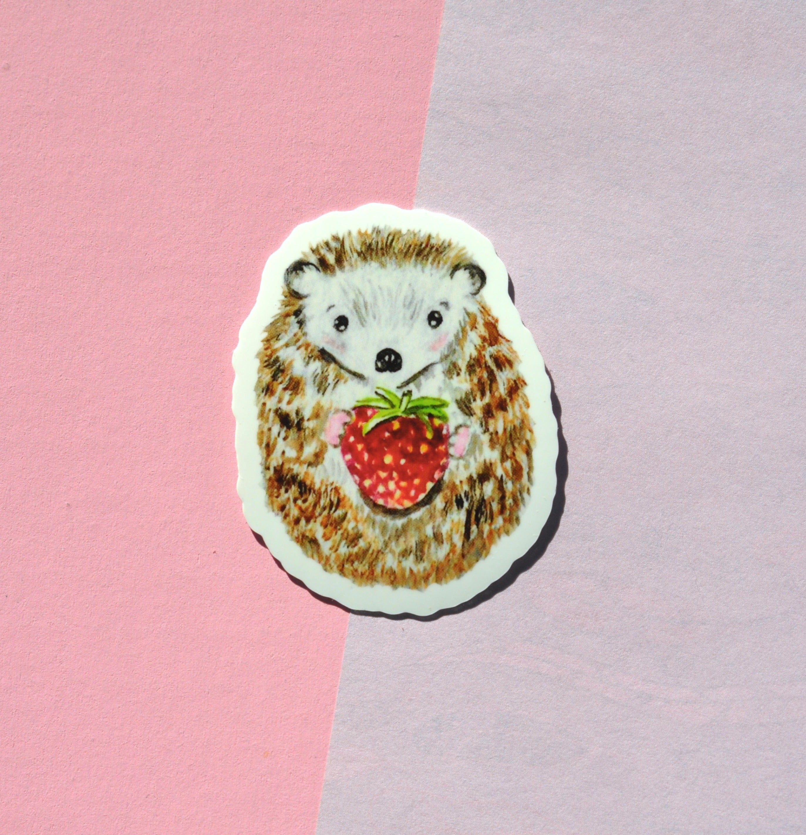 Hedgehog sticker