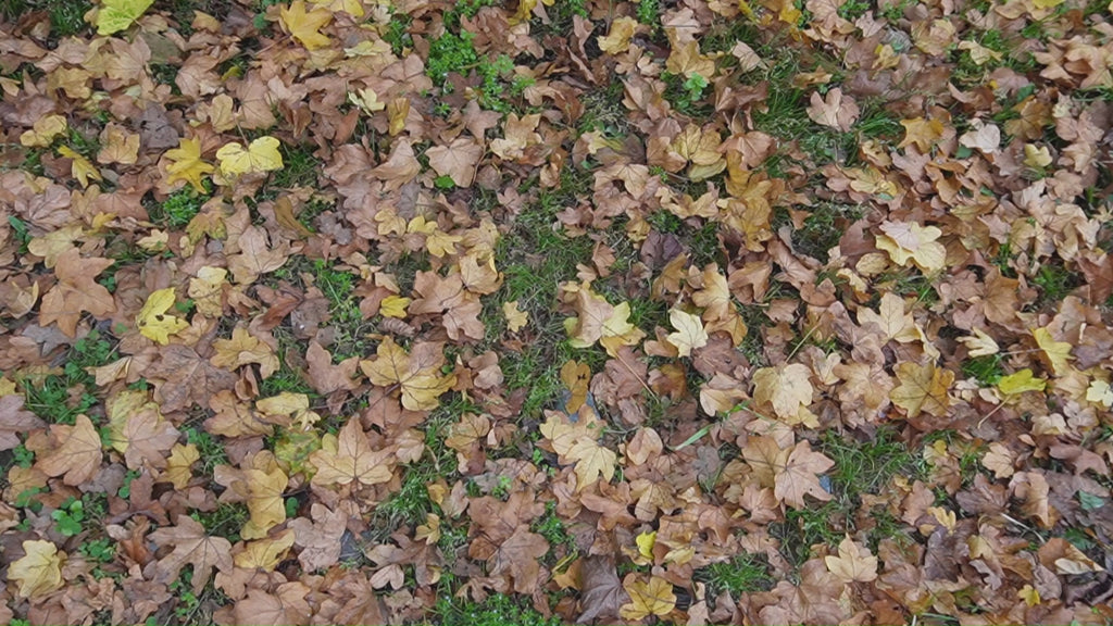 Autumn Collection bundle box